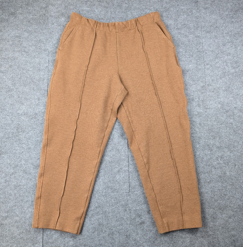 Everlane Dream Pants Womens Medium Athleisure Modal Quiet Luxury Pull On Capsule